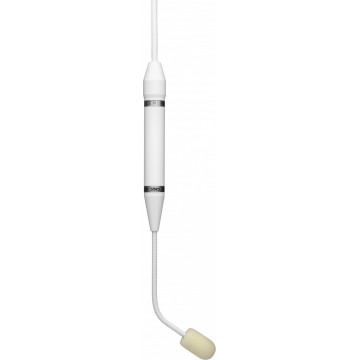 Earthworks Audio C30/C-W - Microfon teatru / cor