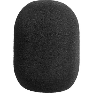 Neumann WS 49 - Windscreen