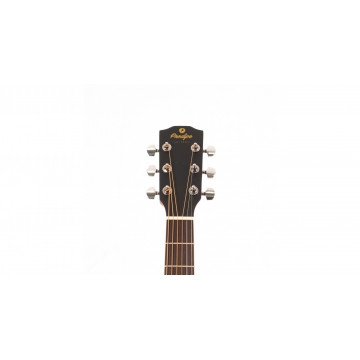 Prodipe Guitars SA25 AUDITORIUM - Chitara acustica - Img 2