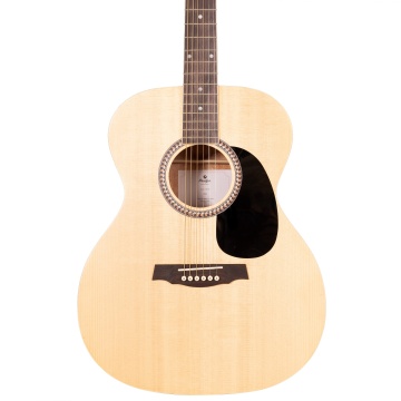 Prodipe Guitars SA25 AUDITORIUM - Chitara acustica - Img 6