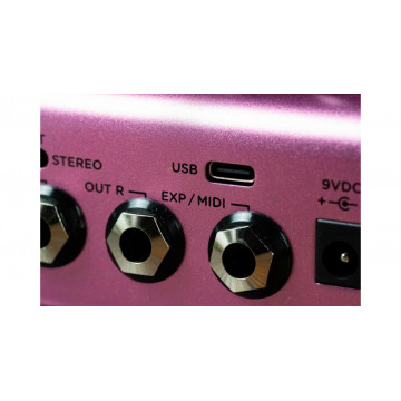 Strymon DIG V2 - Pedala efecte Delay - Img 4