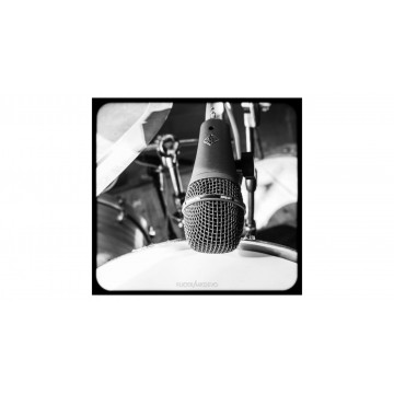 Telefunken M81-SH - Microfon dinamic - Img 4