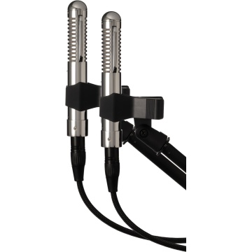 Warm Audio WA-FT Fen-tone Matched Pair - Set Stereo Matched Pair Microfoane Ribbon