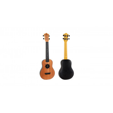 Flight TUC-53 MAH - Ukulele Concert - Img 2