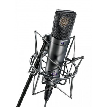 Neumann U 89 i - Microfon condenser studio