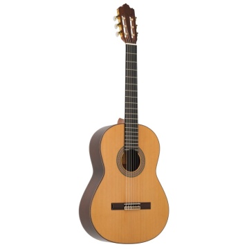 Prodipe Guitars Soloist 700 - Chitara clasica - Img 3