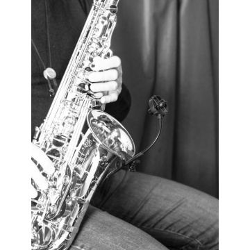 Prodipe SB21 - Microfon pentru saxofon si alamuri - Img 12