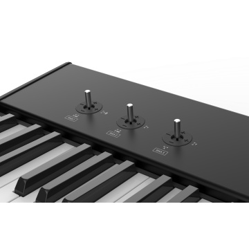 Studiologic SL73 Studio - Claviatura MIDI Premium Hammer Action - Img 7