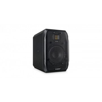 ADAM Audio S2V Grille - Grila de protectie - Img 2