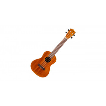 Flight NUC250 - Ukulele Concert - Img 3