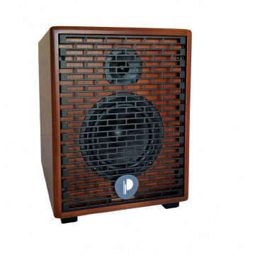Prodipe AMP Natural 6 Cherrywood - Combo chitara acustica