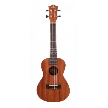 Prodipe Guitars BC210 - Ukulele Concert
