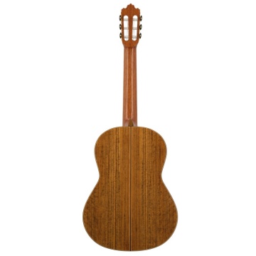 Prodipe Guitars Soloist 900 - Chitara clasica - Img 2