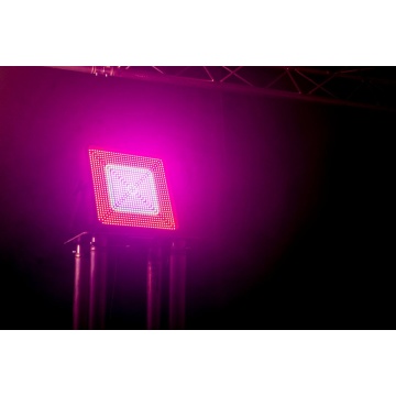 AFX Light HYPNOTIC - Stroboscop - Img 5