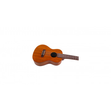 Flight NUC250 - Ukulele Concert - Img 4