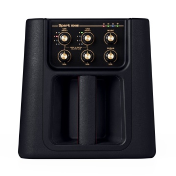 Positive Grid Spark EDGE - Combo Digital Chitara si Bass - Img 3