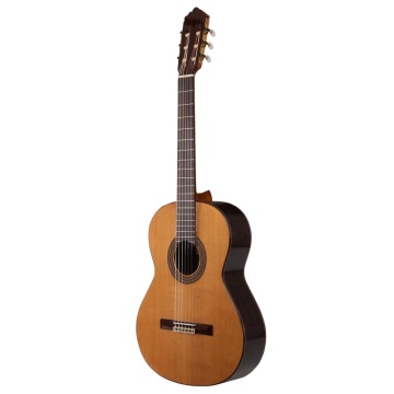 Prodipe Guitars Soloist 500 - Chitara clasica - Img 5