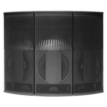 Alcons Audio RR12 - Boxa Point-Source - Img 6