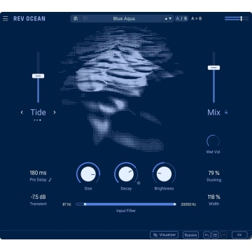 Arturia Rev OCEAN - Plugin reverb creativ FDN cu 3 moduri si modulatie - Img 3