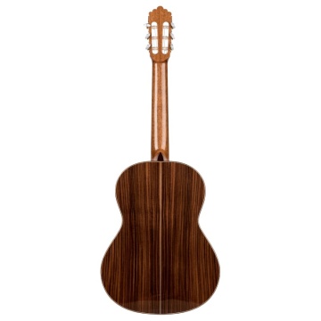 Prodipe Guitars Soloist 500 - Chitara clasica - Img 2