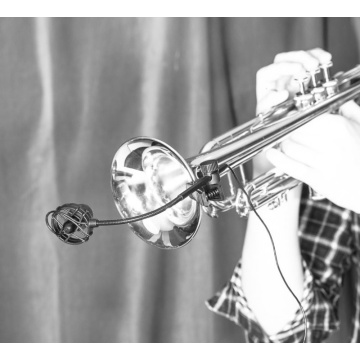 Prodipe SB21 - Microfon pentru saxofon si alamuri - Img 13
