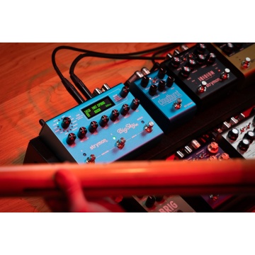 Strymon Big Sky MX - Pedala reverb - Img 13