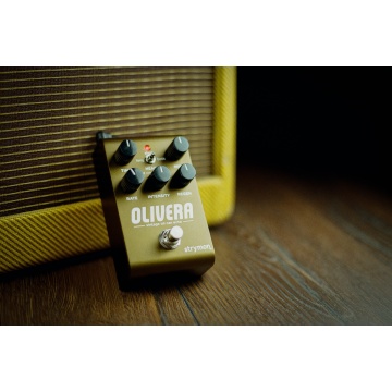 Strymon Olivera - Pedala Delay - Img 5