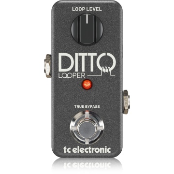 TC Electronic Ditto Looper - Loop station - Img 2