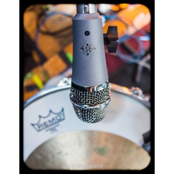 Telefunken M81-SH - Microfon dinamic - Img 13