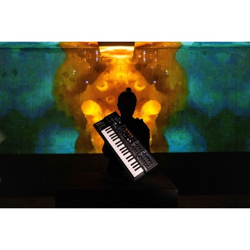 Arturia MiniFreak - Sintetizator Hibrid Polifonic - Img 9