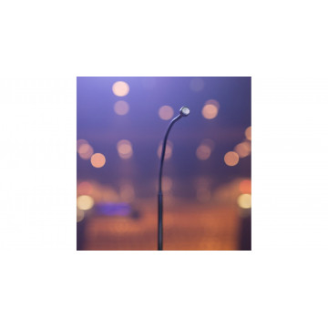Earthworks Audio FW730 - Microfon pentru cor - Img 3