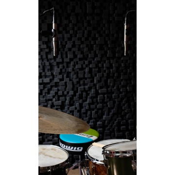 Earthworks Audio SR25mp Gen 2 - Pereche de microfoane pentru overhead - Img 6