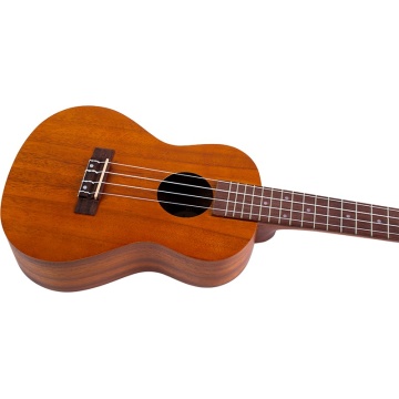 Flight NUC250 - Ukulele Concert - Img 6