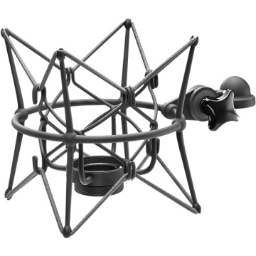Neumann EA 2 MT -