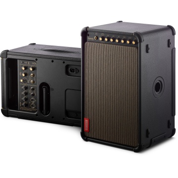 Positive Grid Spark LIVE - Combo Digital Chitara si Bass - Img 8