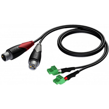 ProCab CLA835/1.5 - 2xXLR mama - 2xterminal block (3p)