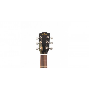 Prodipe Guitars SA25 CEQ AUDITORIUM - Chitara electro-acustica - Img 2
