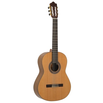Prodipe Guitars Soloist 900 - Chitara clasica - Img 3