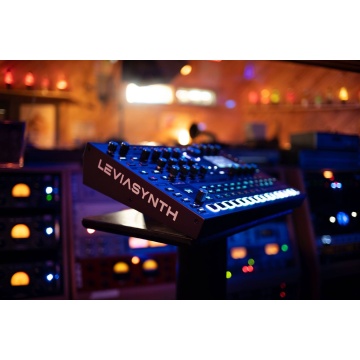 ASM Ashun Sound Machines Leviasynth Desktop - Sintetizator - Img 23