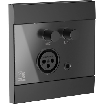 Audac WP210/B - Panou de intrare audio - Img 2