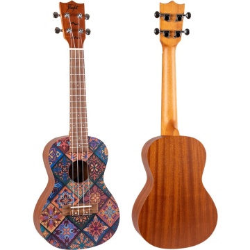 Flight AUC-33 Fusion Concert - Ukulele Concert - Img 5