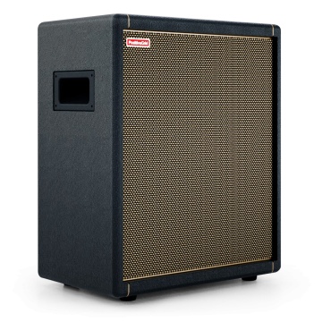 Positive Grid Spark CAB - Cabinet de chitara/bass