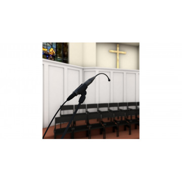 Earthworks Audio P30/C-B - Microfon gooseneck pentru cor - Img 2