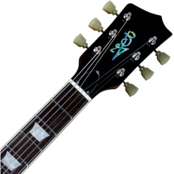 JET Guitars JL-500 GD - Chitara electrica - Img 6