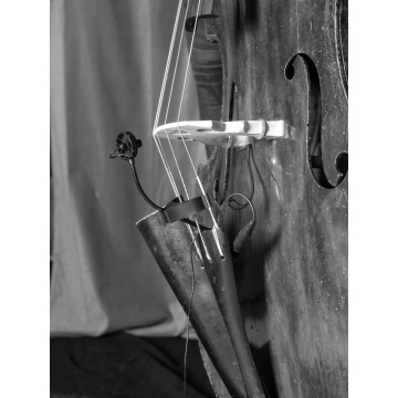 Prodipe BL21 - Microfon pentru contrabas - Img 11