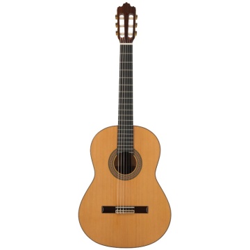 Prodipe Guitars Soloist 700 - Chitara clasica
