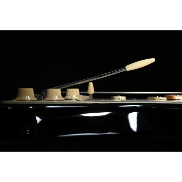 Prodipe Guitars ST80MA BK - Chitara electrica - Img 4