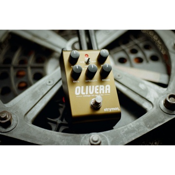 Strymon Olivera - Pedala Delay - Img 6