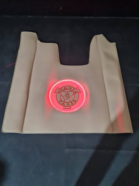 TAPETE CENTRAL SCANIA R NEXT GEN COM LED - Img 2