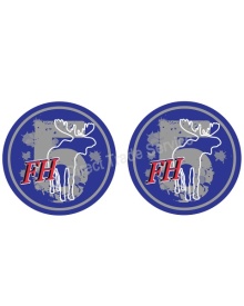 STICKER FH5